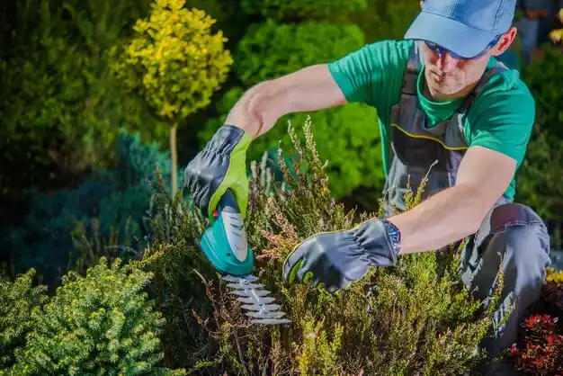 landscaping services Lackawanna